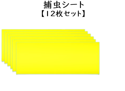 捕虫シート(12枚入り)